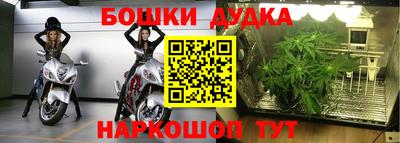 молекула духа Ачхой-Мартан